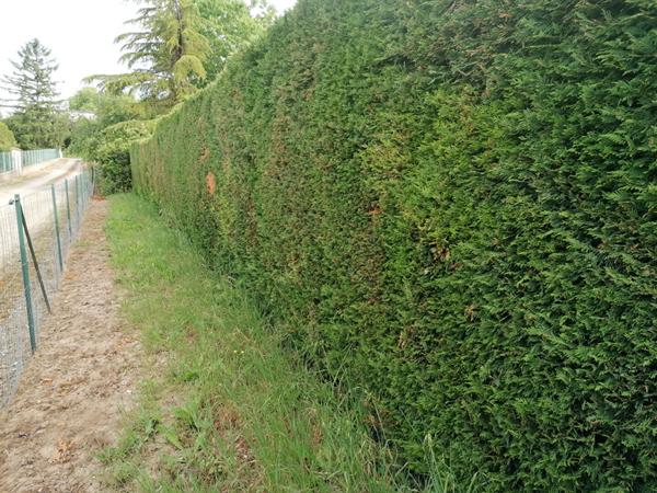 Gaillac , Terrain de 914 m²