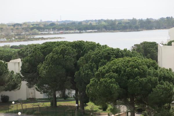 Studio Cabine Port Camargue  Le Grau-du-Roi (30240)
