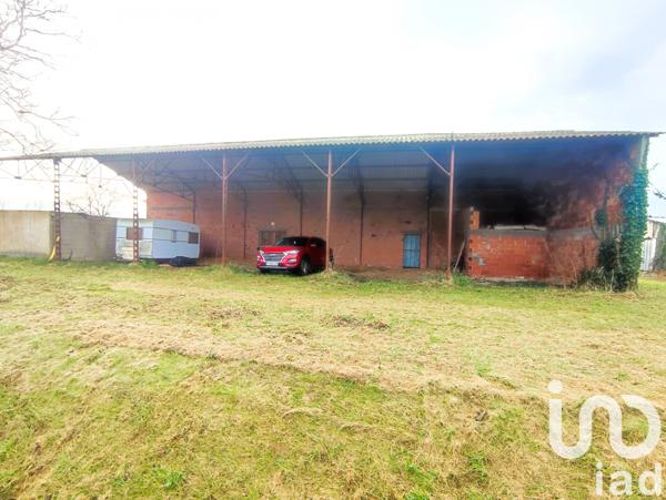 Terrain à vendre 2 595 m² Nègrepelisse