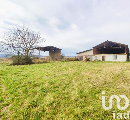 Terrain à vendre 2 595 m² Nègrepelisse