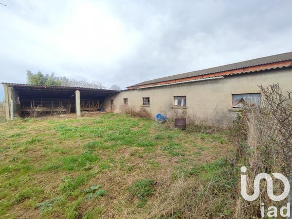 Terrain à vendre 2 595 m² Nègrepelisse