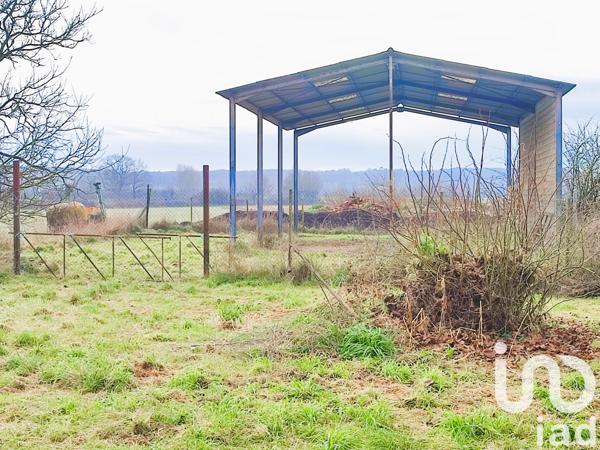 Terrain à vendre 2 595 m² Nègrepelisse