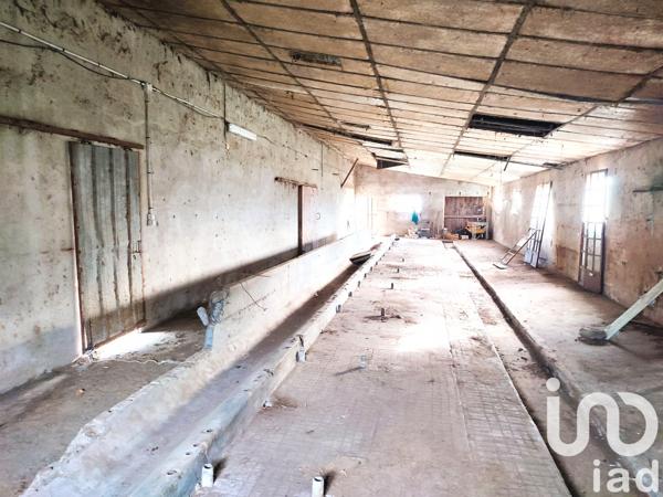 Terrain à vendre 2 595 m² Nègrepelisse