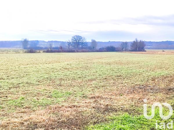 Terrain à vendre 2 595 m² Nègrepelisse