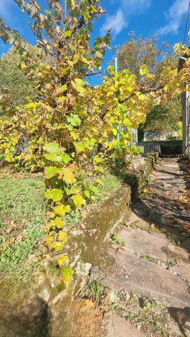 Opportunité rare – Maison de caractère sur les hauteurs de Mutzig