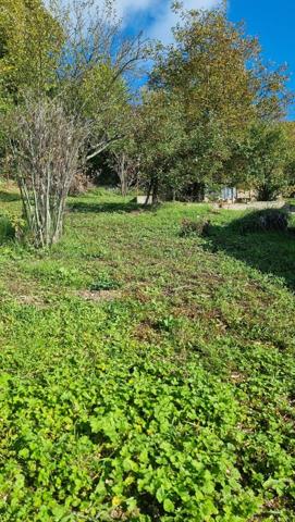 Opportunité rare – Maison de caractère sur les hauteurs de Mutzig