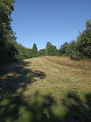 Propriété équestre « typique Bretonne » (en pierres) de 263 m2 à Cléguer (Bretagne Sud - Pays de Lorient)