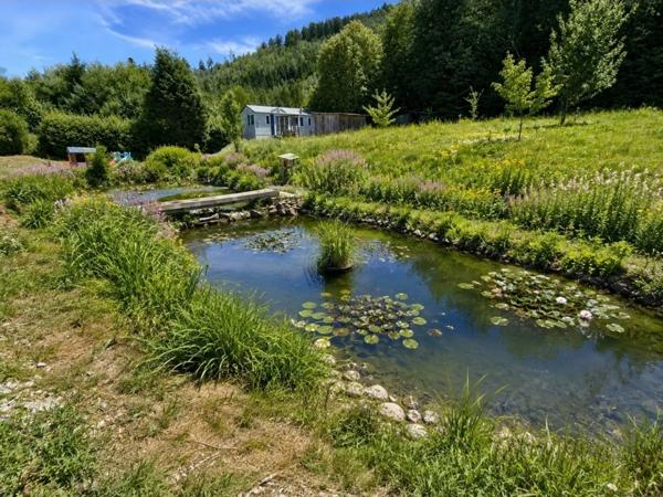 MAISON T5 à vendre 5 pièces banlieue EPINAL (88) avec PISCINE, GARAGE, mare sur 2600 m2 TERRAIN