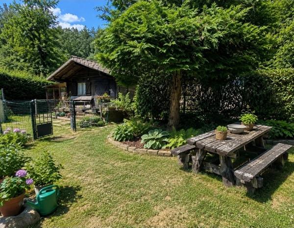 MAISON T5 à vendre 5 pièces banlieue EPINAL (88) avec PISCINE, GARAGE, mare sur 2600 m2 TERRAIN