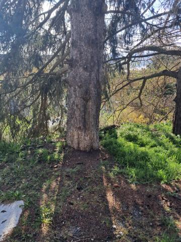 FONT ROMEU - Terrain de 1569 m² centre ville avec VUE ! - CONSTRUCTION LIBRE