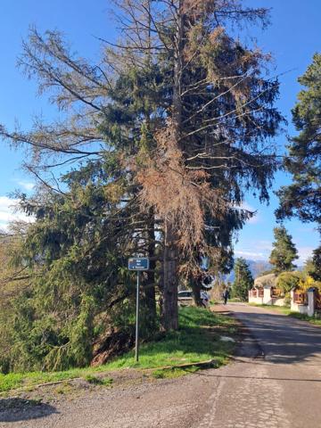 FONT ROMEU - Terrain de 1569 m² centre ville avec VUE ! - CONSTRUCTION LIBRE
