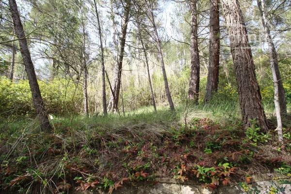 A vendre une villa avec terrasse, grand garage, sur un beau terrain boisé avec une source. Très belle vue dégagée.