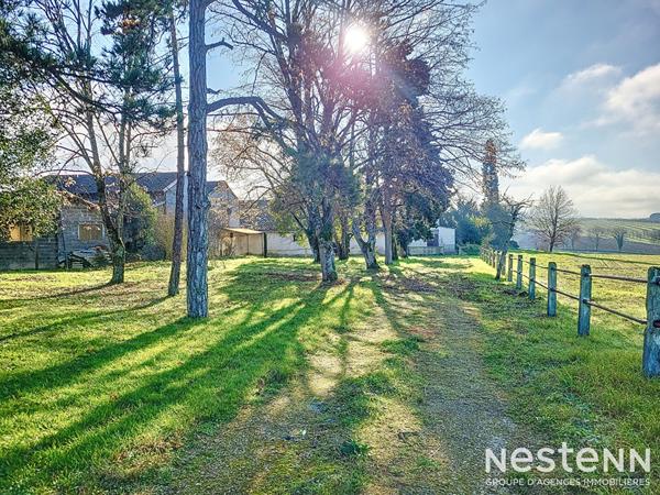 À vendre Propriété de 6900 m² avec Gasconne à rénover de 207 m², dépendances et deux gîtes
