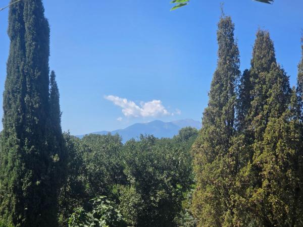 Vente Maison de luxe Perpignan 13 Pièces 390 m²