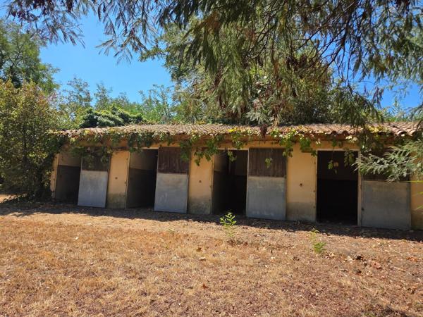 Vente Maison de luxe Perpignan 13 Pièces 390 m²