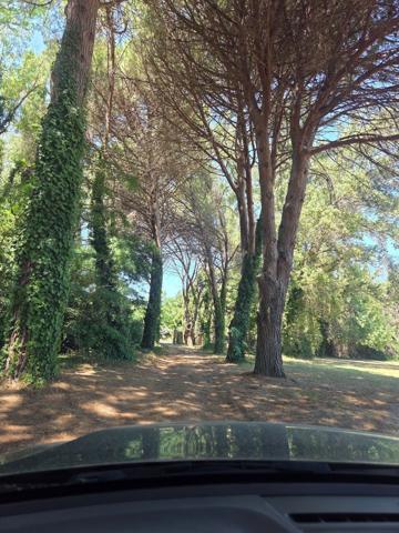 Vente Maison de luxe Perpignan 13 Pièces 390 m²