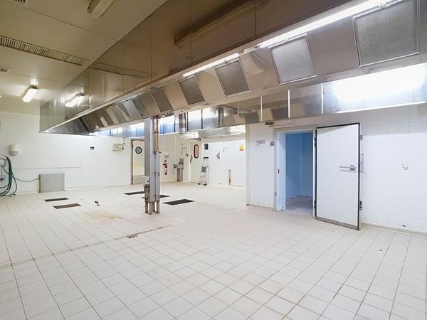 A VENDRE Local d'Activités / Entrepôts 540m² et 165m² - ZA de l'Espèche Fontenilles (31470)