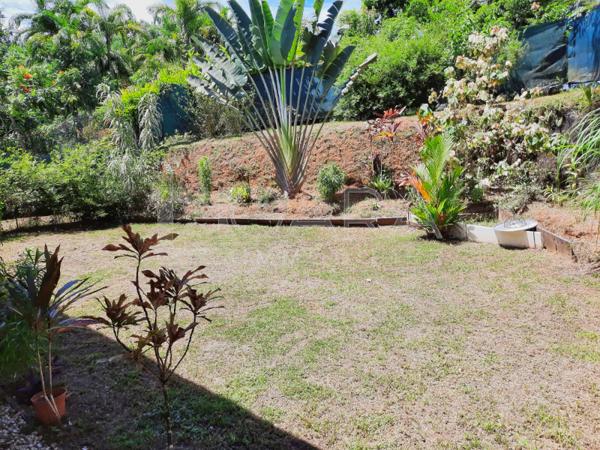 Vente Maison 4 Pièce(s) MACOURIA (97355) 250 000 € calendar