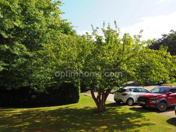 Honfleur – Grand T2 lumineux - Plain pied – 55 m² - 1 chambre - Parking