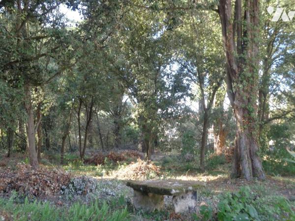 L’ÉPINE, SECTEUR LES ELOUX