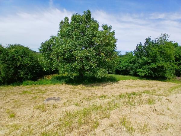 Vente Maison 8 pièces 159 m2 à La Machine