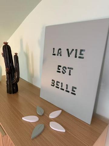 Maison centre ville Limoux à usage de gîte tout équipé