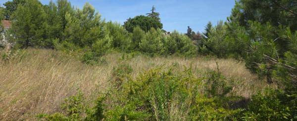 MARSEILLETTE : TERRAIN 1430M² LIBRE DE CONSTRUCTION