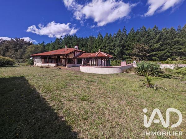 Maison à vendre 6 pièces 245 m² Luxey