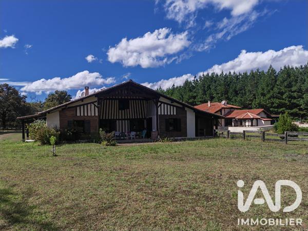 Maison à vendre 6 pièces 245 m² Luxey