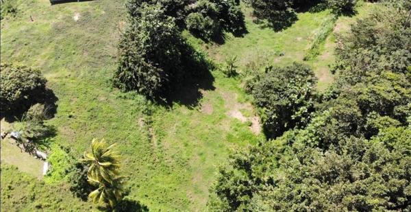 Terrain 2903 m² à Sainte Marie