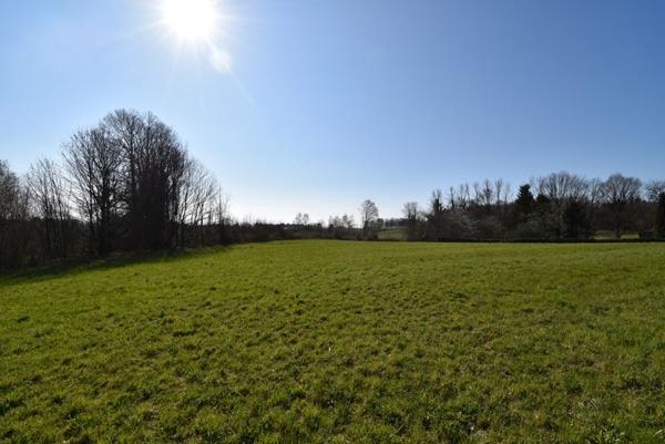 Terrain à vendre |  Saint-Sornin-Lavolps |  12800 m²