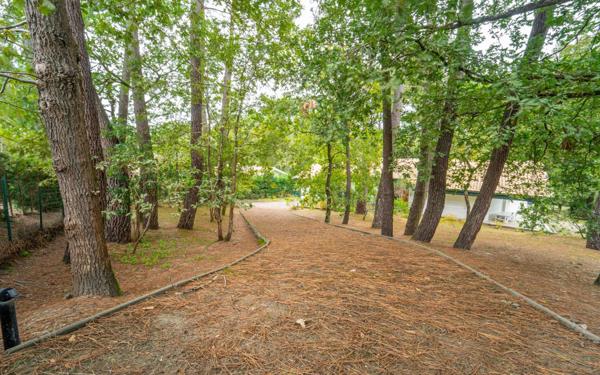 Maison à vendre    5 pièces •  Biscarrosse