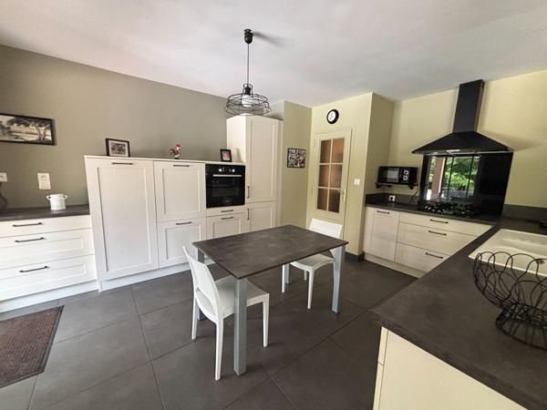 Belle contemporaine , Segre