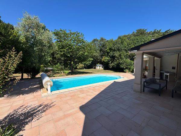 Belle contemporaine , Segre