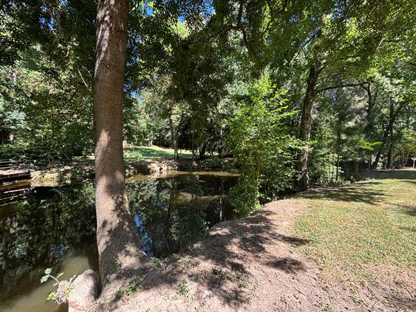 Belle contemporaine , Segre