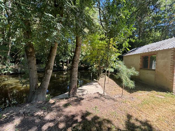 Belle contemporaine , Segre