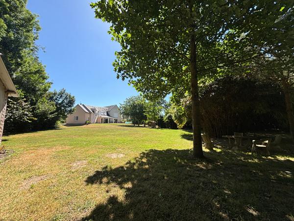 Belle contemporaine , Segre