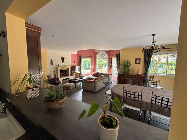 Belle contemporaine , Segre