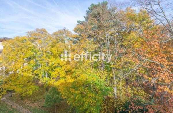 Appartement 2 pièces - 55 m² Exclusivité efficity