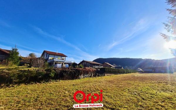 Terrain à vendre    Xonrupt-Longemer