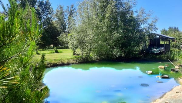 Maison 5 pièces avec grand terrain