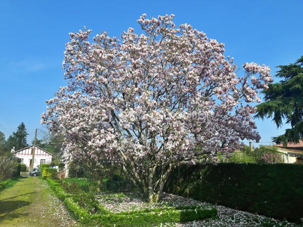 Maison d architecte de 150 m²