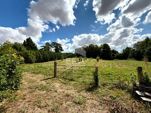 Belle propriété ? 207 m² ? terrain 9 388 m²