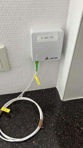 Location / Appartement