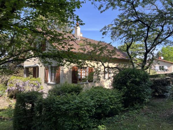 Vente / Maison et grand terrain