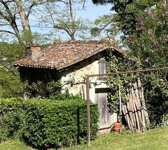 Vente / Maison et grand terrain