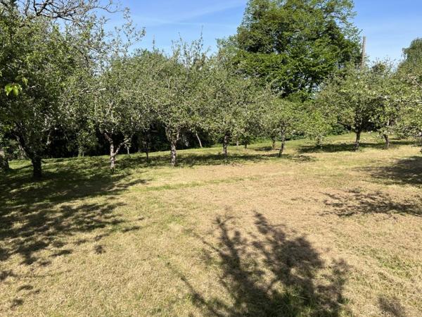 Vente / Maison et grand terrain