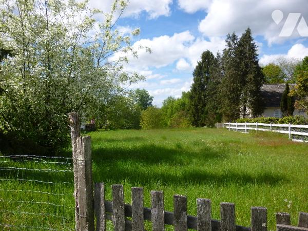 A Tracy-sur-Loire dans la Nièvre (58),