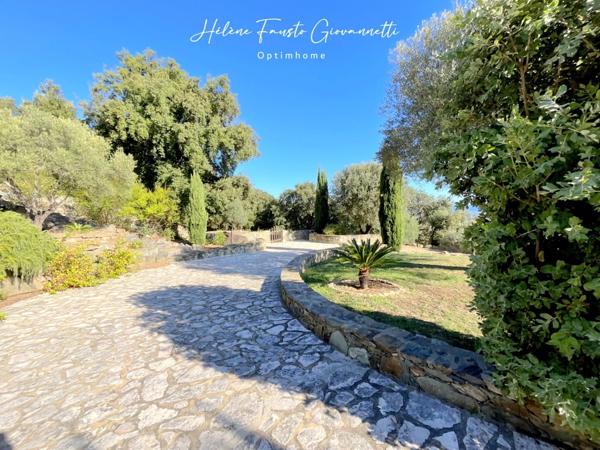 PROPRIETE DE CHARME AVEC PISCINE - VUE MER PANORAMIQUE - 20290 BORGO