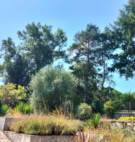 Maison  6 pièce(s)  5 chambre(s)  206 m²